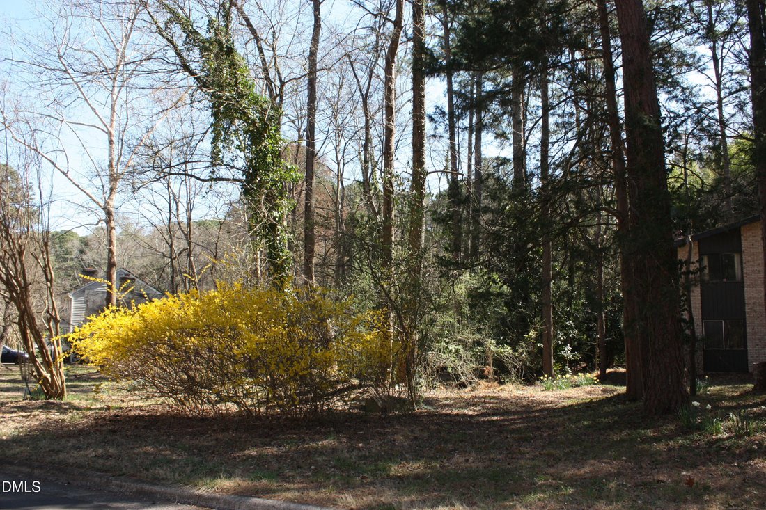 House in Chapel Hill, North Carolina, United States 3 - 18612341