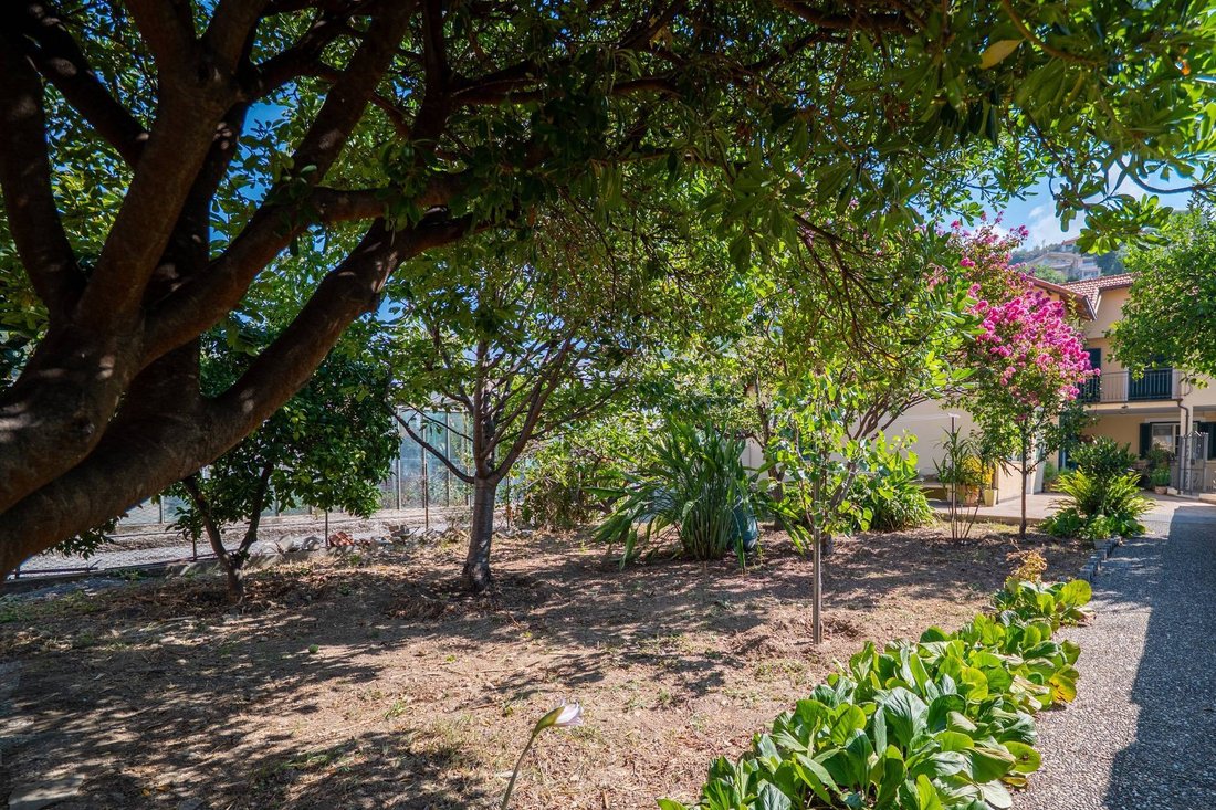 Apartment in Vallecrosia, Liguria, Italy 3 - 18614675