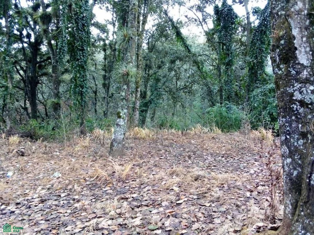 Land in San Cristobal de las Casas, Chiapas, Mexico 2 - 18612419