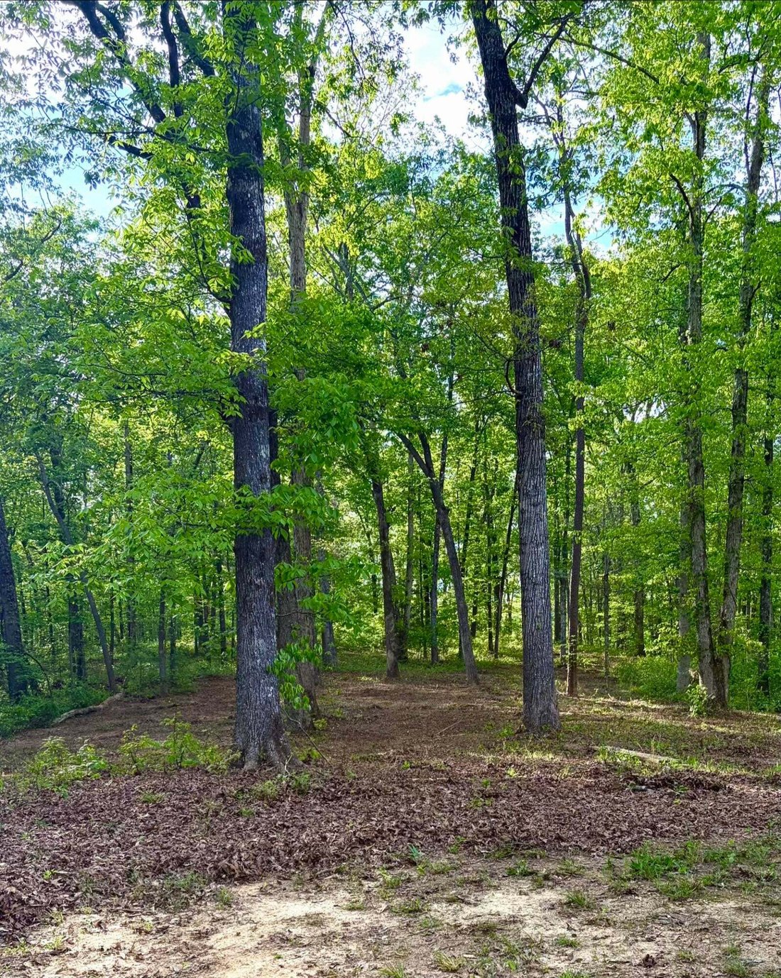 House in Birchwood, Tennessee, United States 4 - 18609988