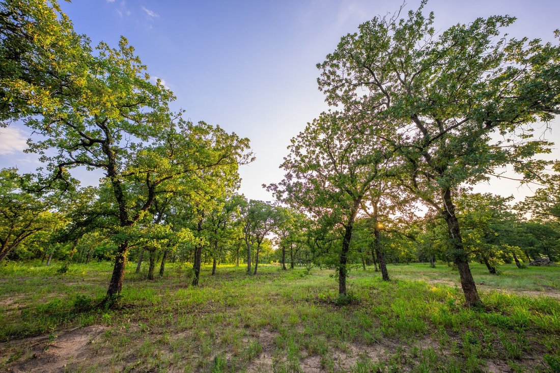 Land in Lipan, Texas, United States 5 - 18609659
