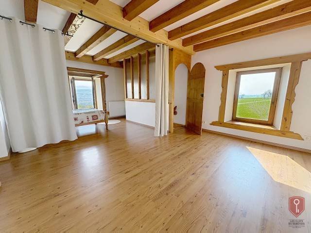 House in Savigny, Auvergne-Rhône-Alpes, France 1 - 17480535