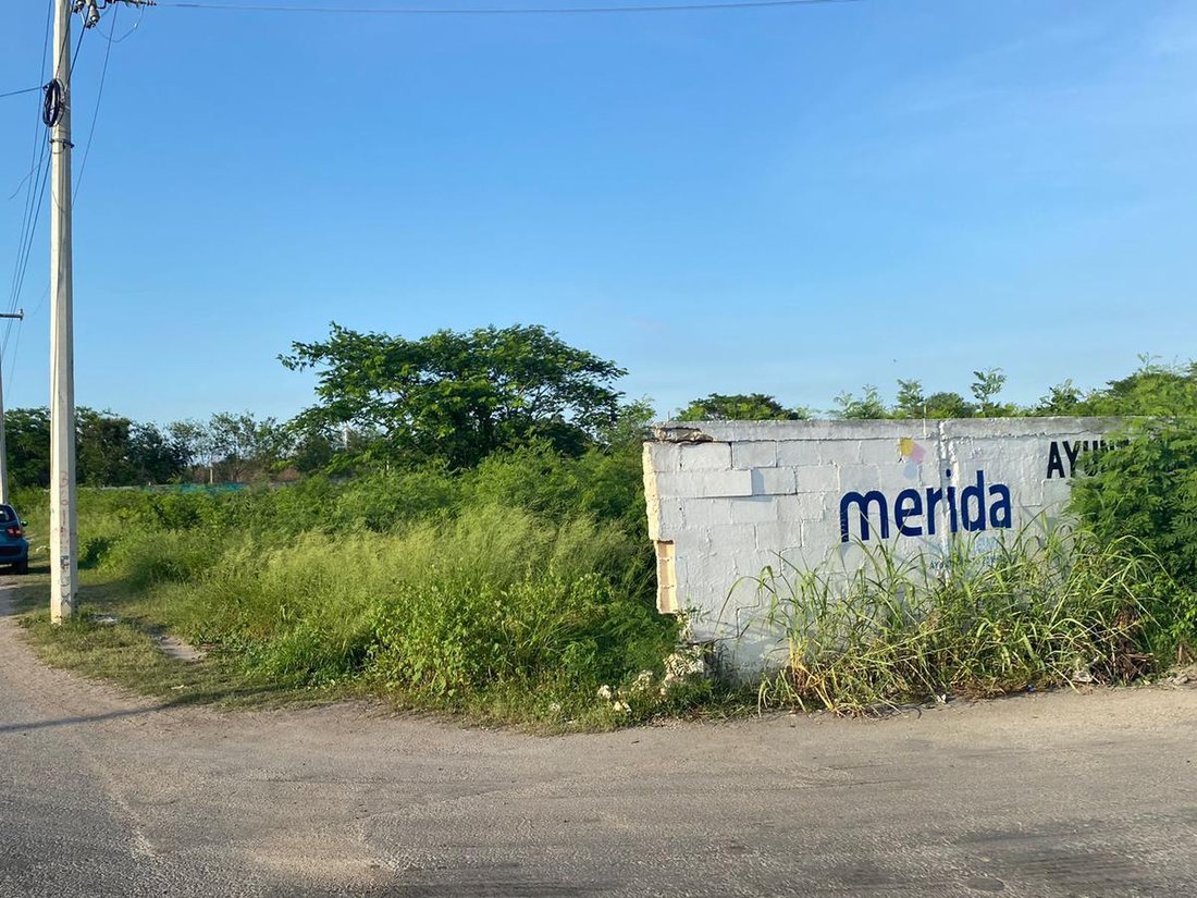 Land in Mérida, Yucatan, Mexico 3 - 18610498