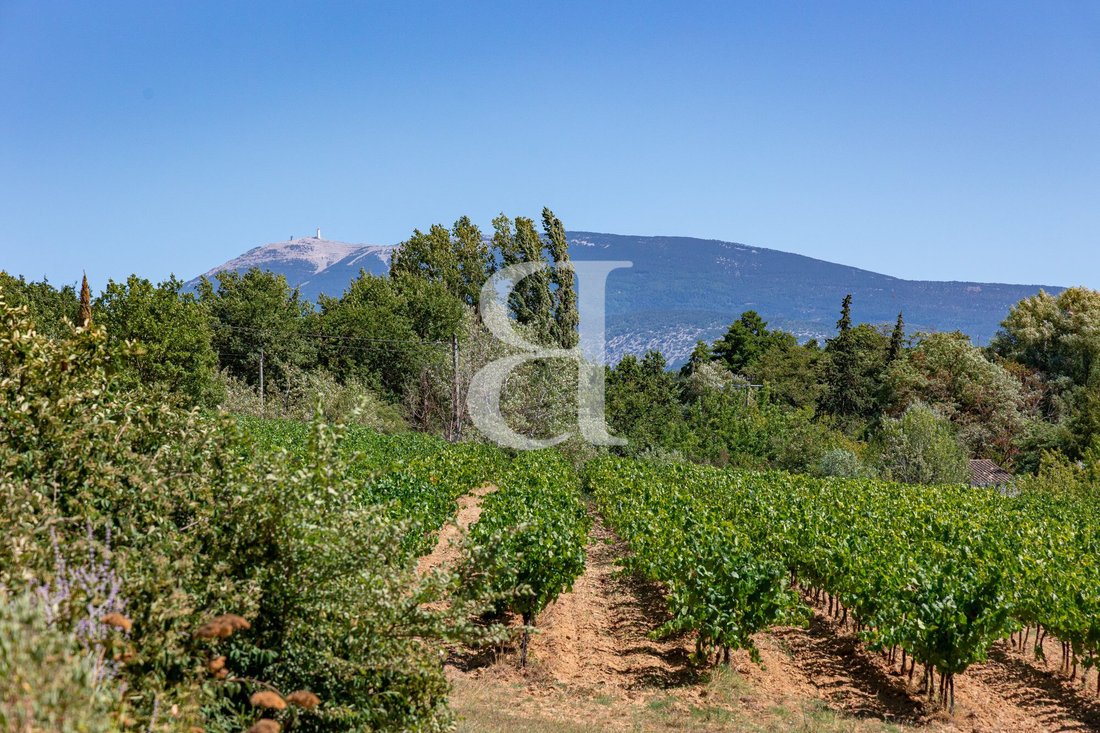 Country House in Puyméras, Provence-Alpes-Côte d'Azur, France 4 - 18614884