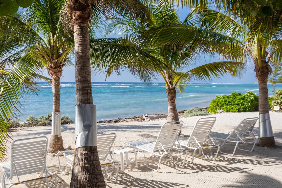 Condo in Bodden Town, Bodden Town, Cayman Islands 4 - 18611379