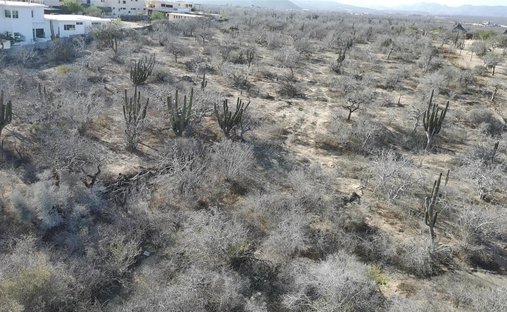 Land in El Pozo de Cota, Baja California Sur, Mexico 1