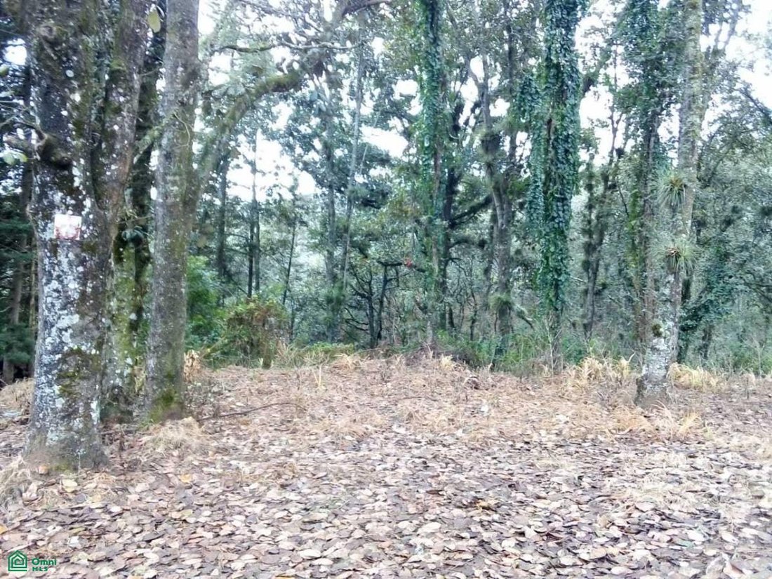 Land in San Cristobal de las Casas, Chiapas, Mexico 3 - 18612419