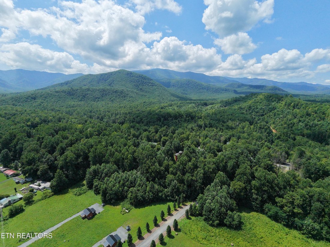 Land in Cosby, Tennessee, United States 2 - 18613036