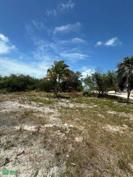 Land in San Pedro, Belize District, Belize 4 - 18098344