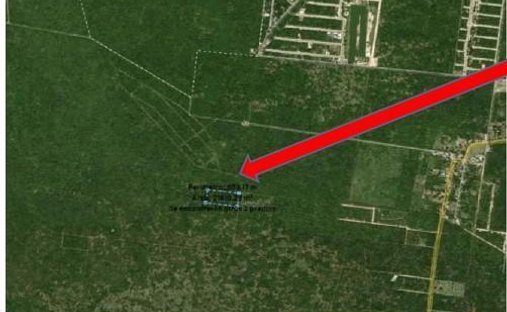 Land in Dzidzil-Há, Yucatan, Mexico 1
