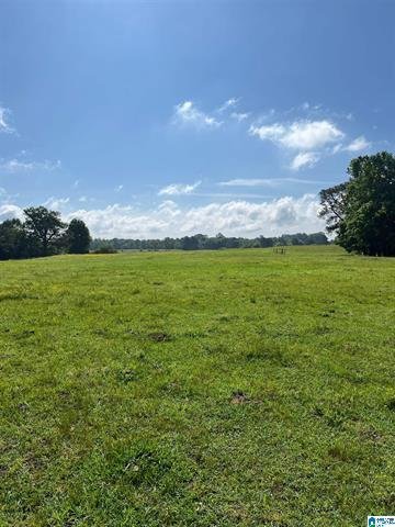 Land in Oneonta, Alabama, United States 4 - 18608957