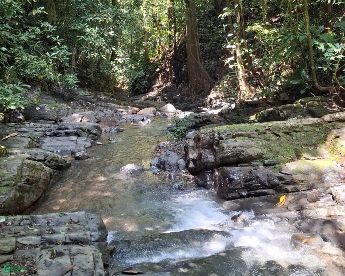 Terrain en Puriscal, Costa Rica 5 - 18579133