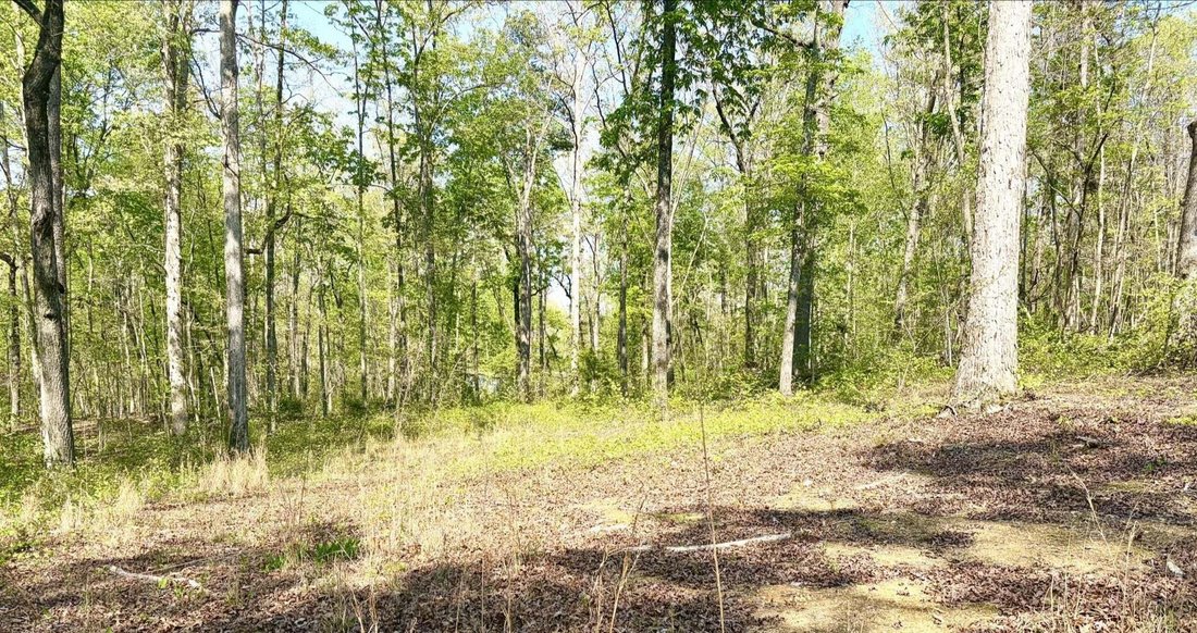 House in Birchwood, Tennessee, United States 3 - 18609988