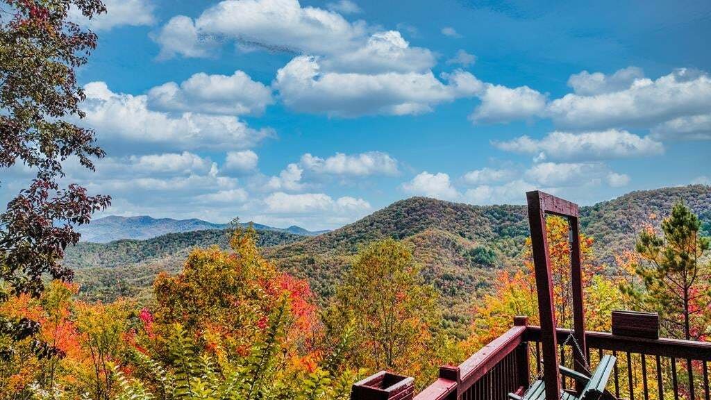 House in Brasstown, North Carolina, United States 5 - 18613503