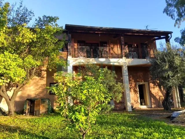 Haus in Nizza, Provence-Alpes-Côte d'Azur, Frankreich 3 - 18610859