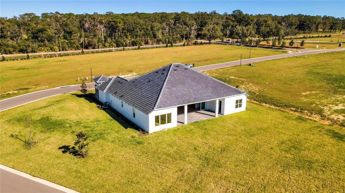 House in Dade City, Florida, United States 5 - 18612561