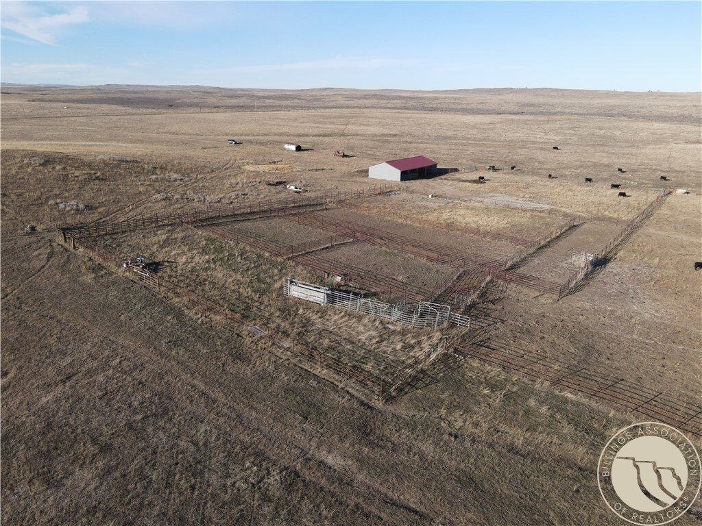 Azienda agricola a Roundup, Montana, Stati Uniti 4 - 18613108
