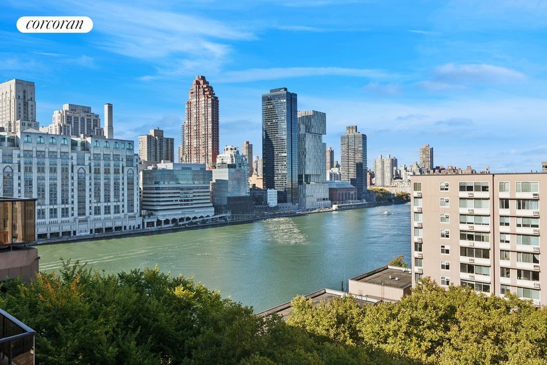 Co Op in New York, New York, United States 3 - 17669643
