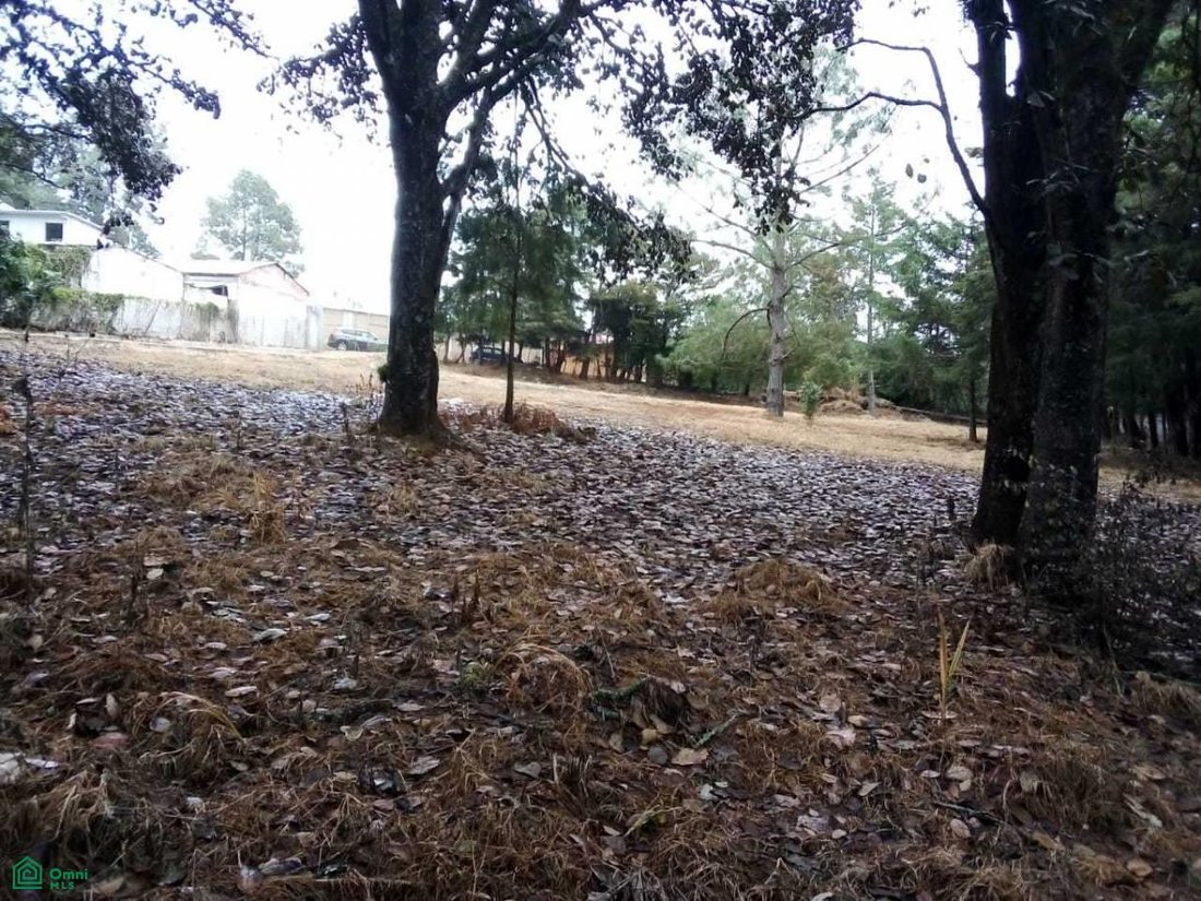 Land in San Cristobal de las Casas, Chiapas, Mexico 5 - 18612419