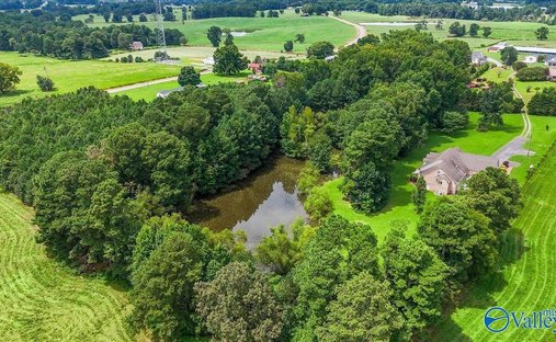 Casa a Holly Pond, Alabama, Stati Uniti 1