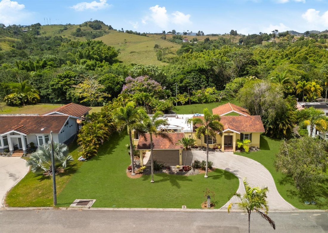 House in CIDRA, PR, United States 3 - 18613517