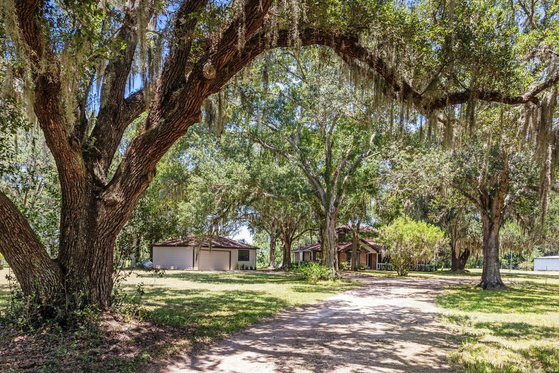 House in Damon, Texas, United States 4 - 18615565