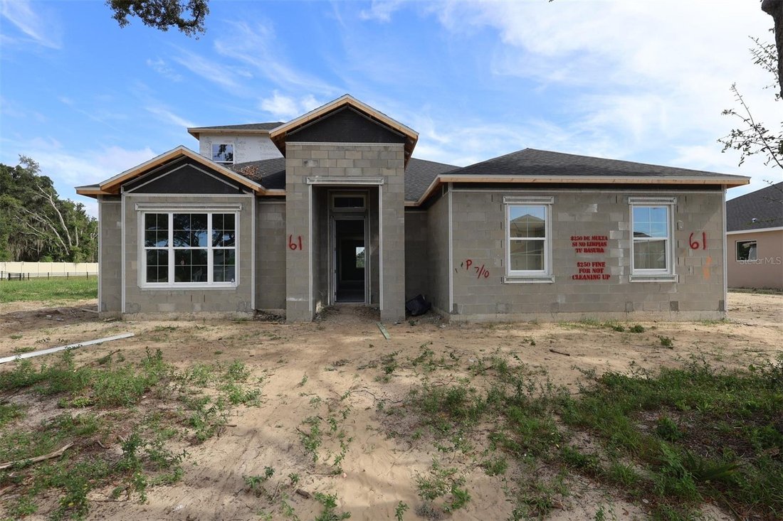 House in Apopka, Florida, United States 1 - 18200091