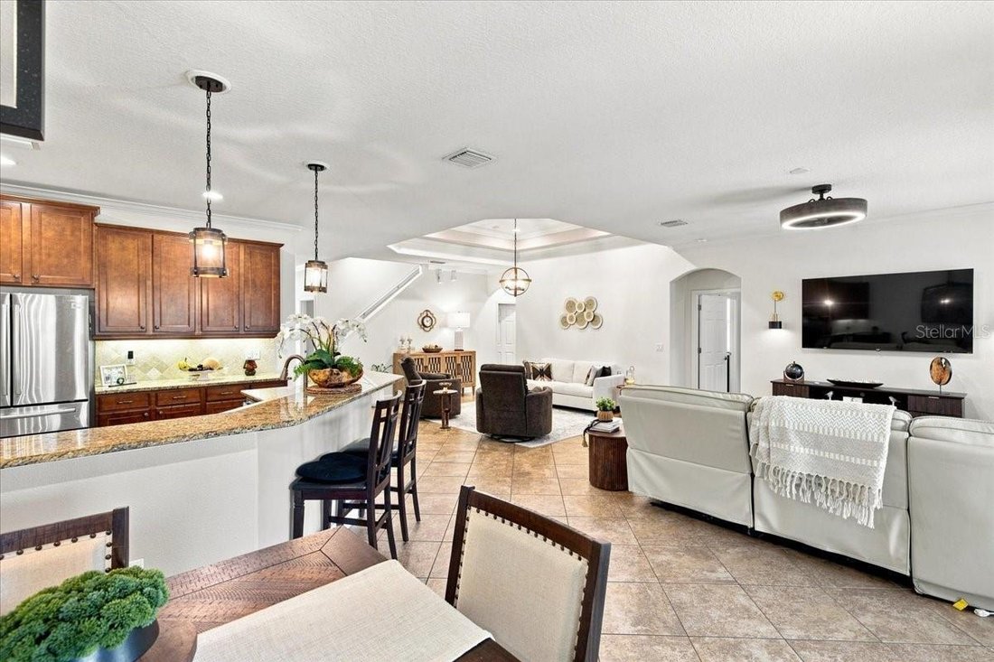 House in Palm Harbor, Florida, United States 3 - 18612557
