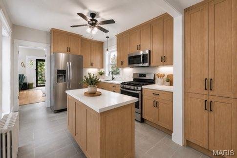 House in Webster Groves, Missouri, United States 3 - 18506054