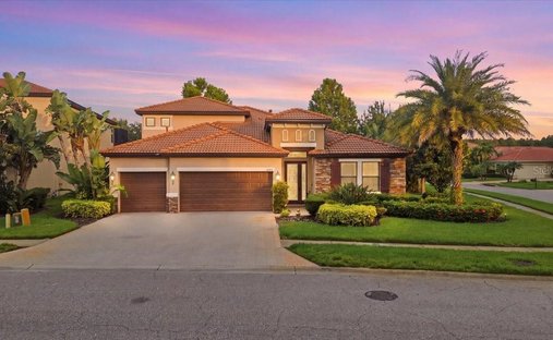 Maison à Palm Harbor, Floride, États-Unis 1