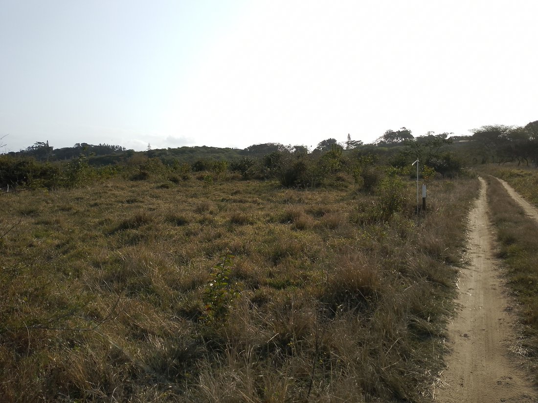 Land in Johannesburg, Gauteng, South Africa 2 - 18609687