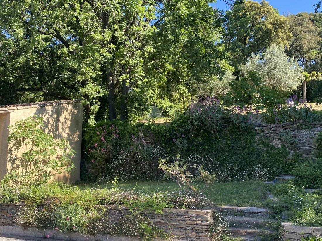 Estate in La Garde-Freinet, Provence-Alpes-Côte d'Azur, France 3 - 18590108