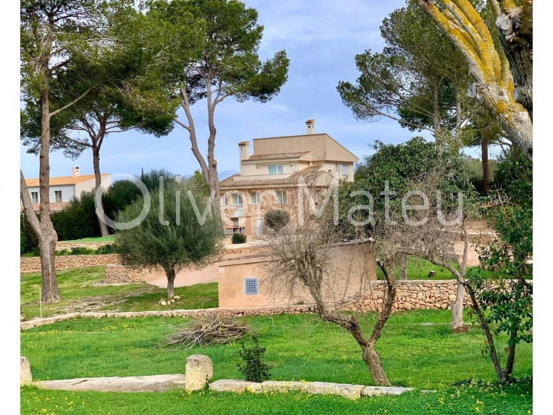 House in Palma, Balearic Islands, Spain 1 - 18193510