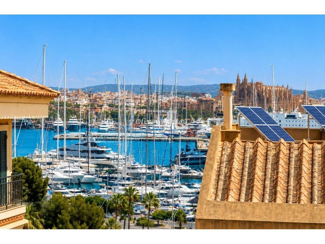 Apartment in Genoa, Palma, Balearic Islands 2 - 18333740