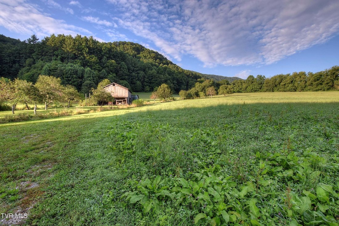 House in Flag Pond, Tennessee, United States 5 - 18609840