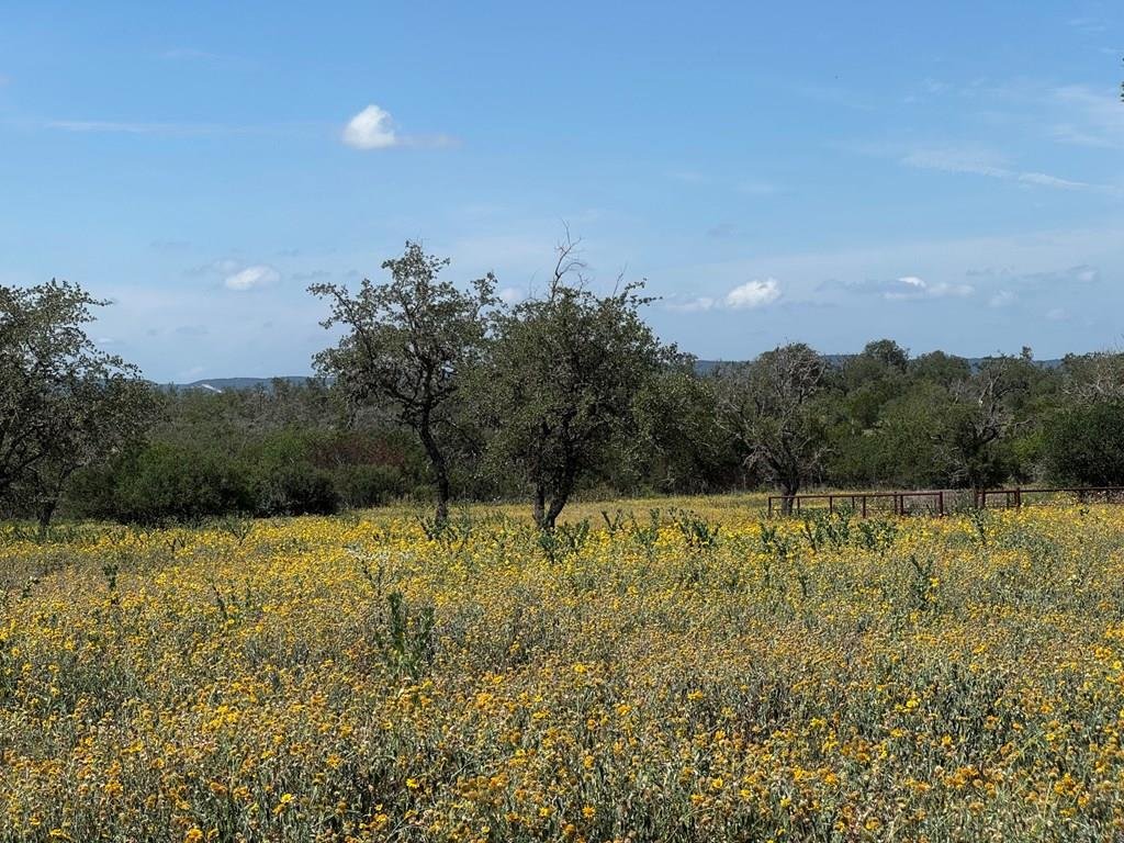 House in Bandera, Texas, United States 1 - 18422398