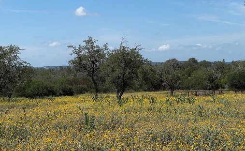 House in Bandera, Texas, United States 1
