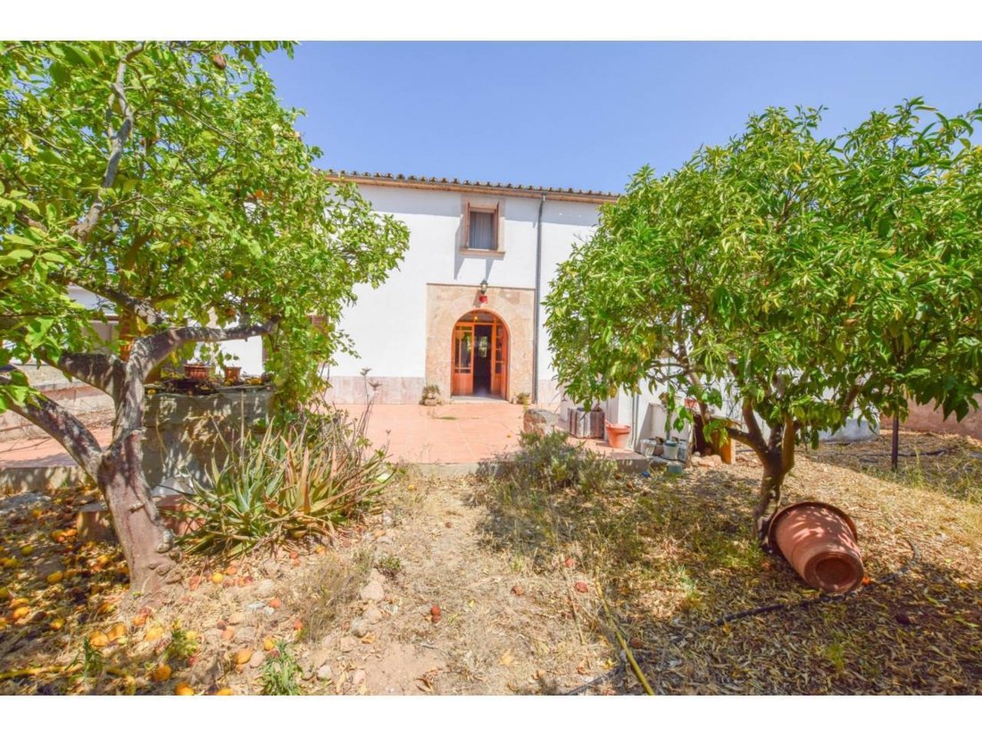 House in Genoa, Palma, Balearic Islands 5 - 18354556