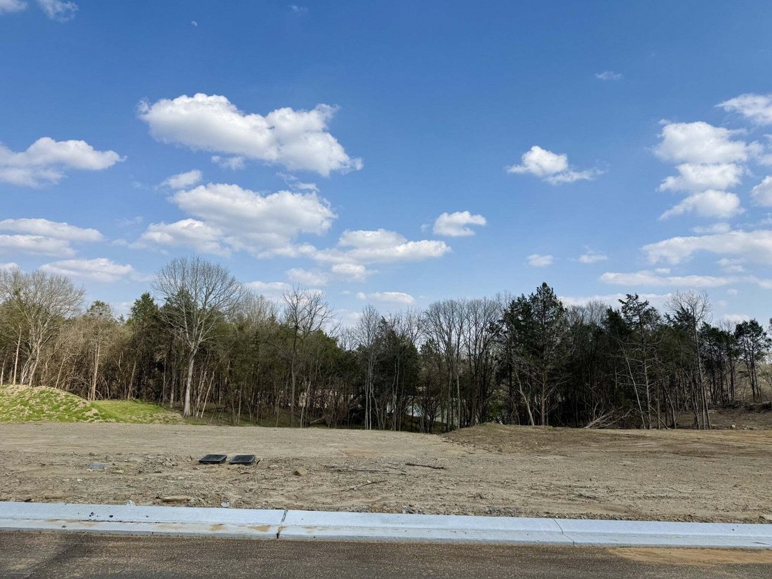 House in Arrington, Tennessee, United States 2 - 18612396