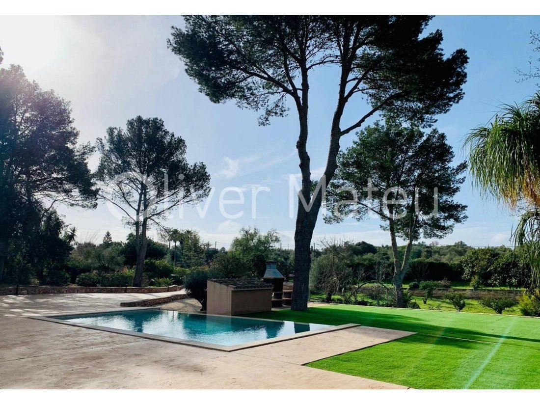 House in Palma, Balearic Islands, Spain 2 - 18193510