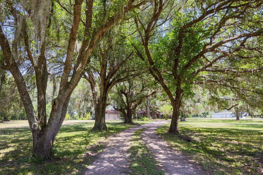 House in Damon, Texas, United States 3 - 18615565