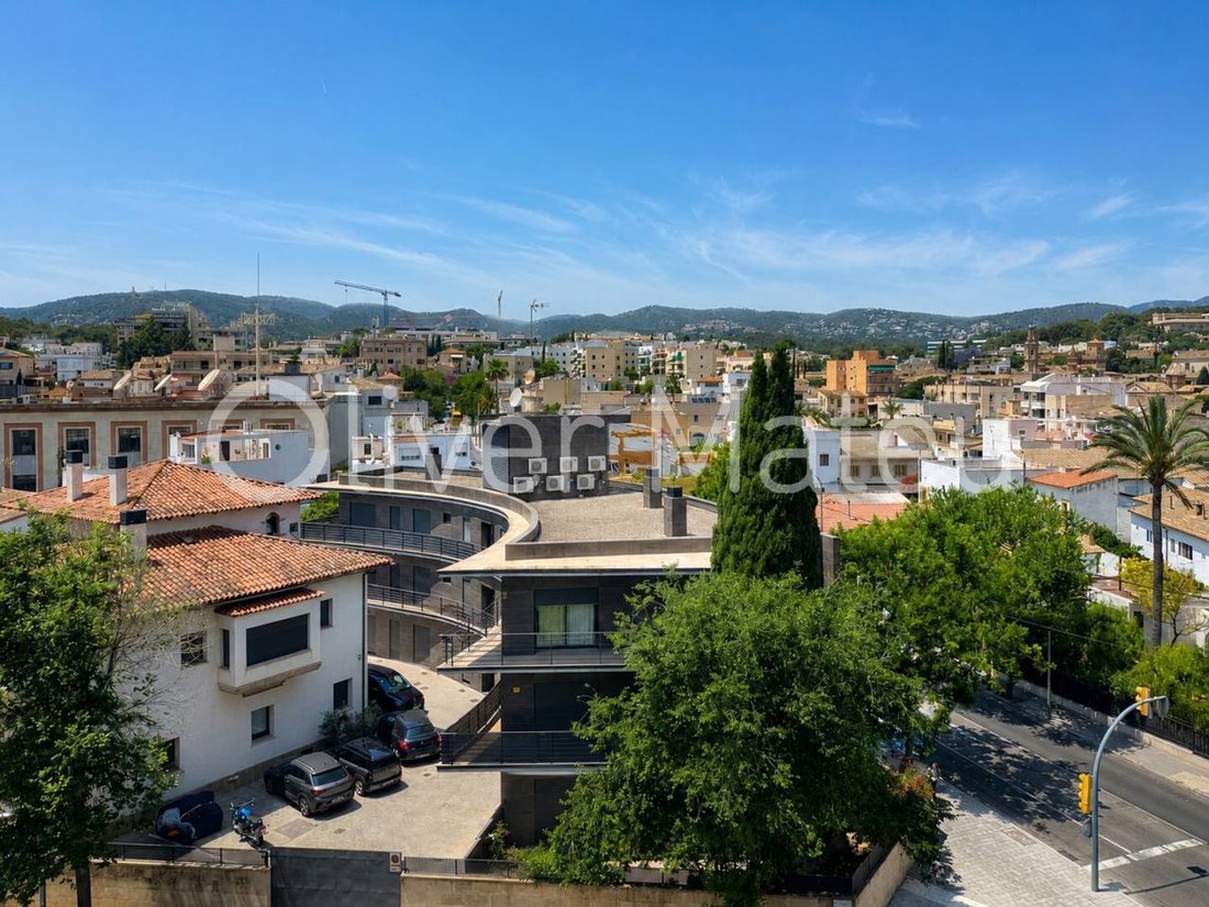 Apartment in Palma, Balearic Islands, Spain 5 - 18194057