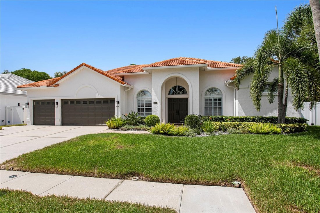 House in Tampa, Florida, United States 1 - 18612619