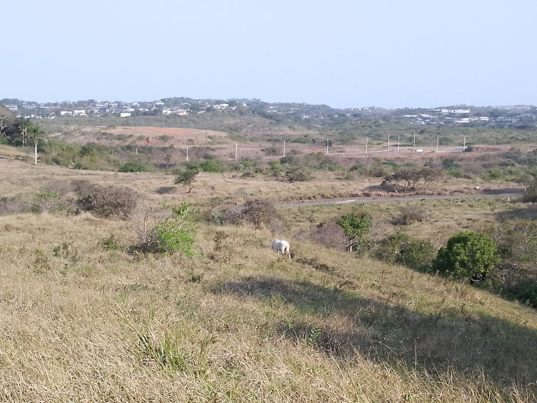Land in Johannesburg, Gauteng, South Africa 2 - 18609639