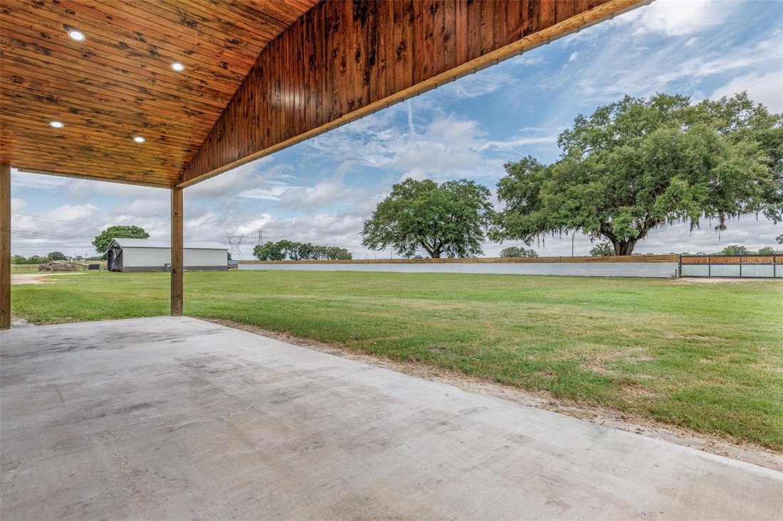 Farm Ranch in Wildwood, Florida, United States 3 - 18612605