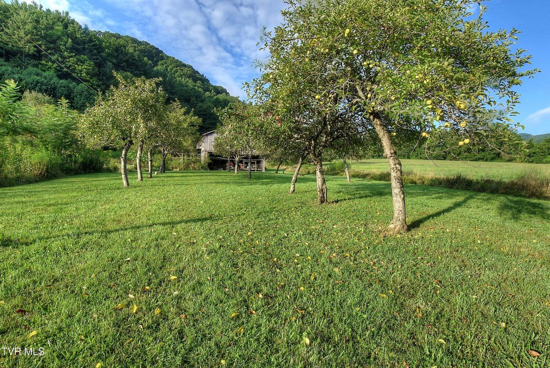 House in Flag Pond, Tennessee, United States 2 - 18609840