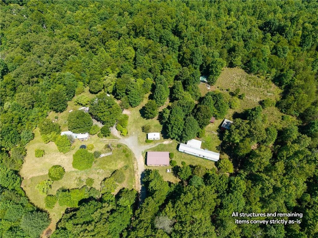 Land in Blue Ridge, Georgia, United States 2 - 18613013