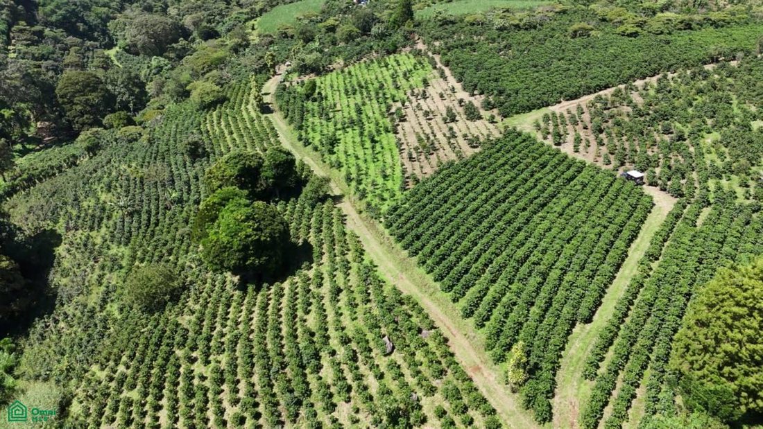 Land in Grecia, Guanacaste Province, Costa Rica 1 - 17804206