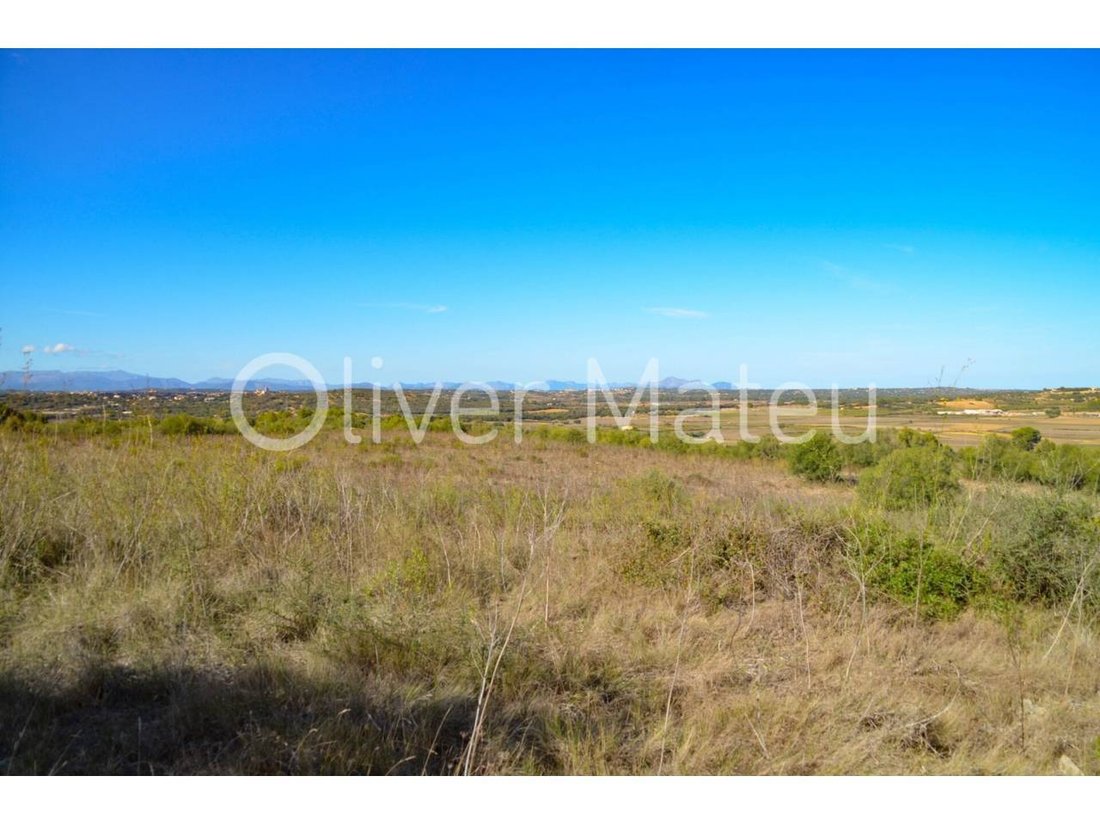 Finca in Santa Eugenia, Balearic Islands, Spain 4 - 18192702