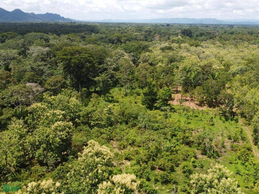 Land in Yemeri Grove, Toledo District, Belize 1 - 17908207